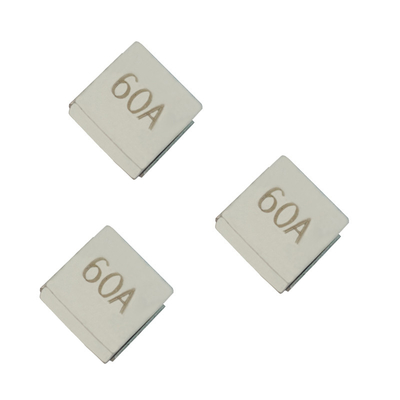 8810F ultrasmd Chip Fuse High Current Nano 2 blaast snel Subminiature Max. van 80A 125A 125V.
